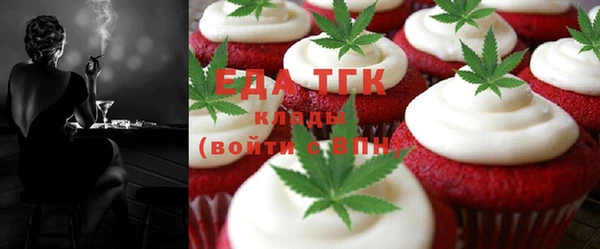 индика Иннополис