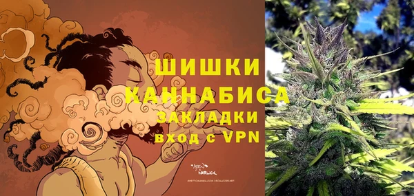 мдпв Зеленодольск