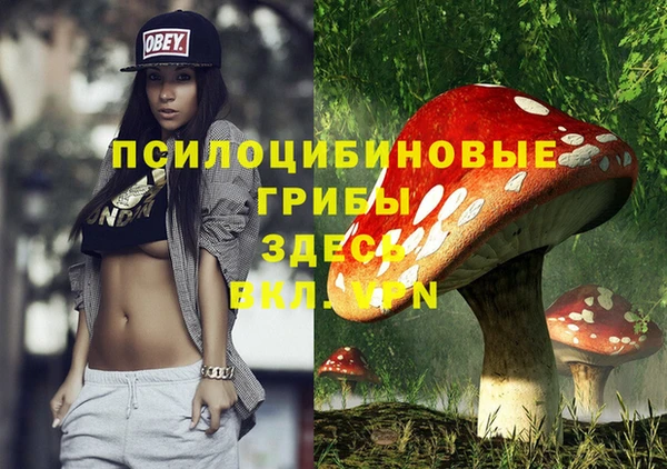 индика Иннополис