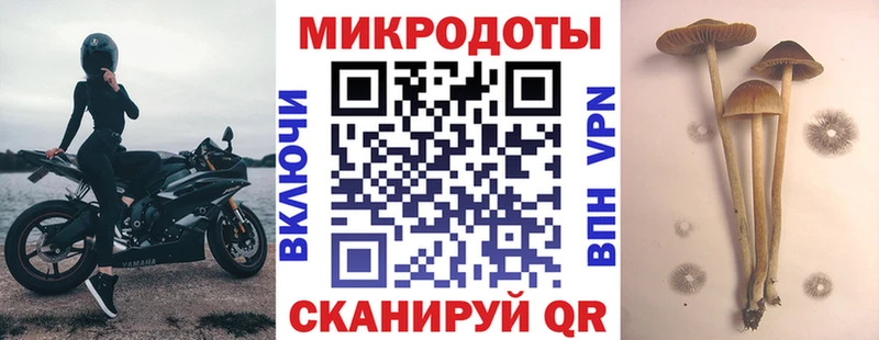 Псилоцибиновые грибы Cubensis KRAKEN ССЫЛКА Котельнич купить